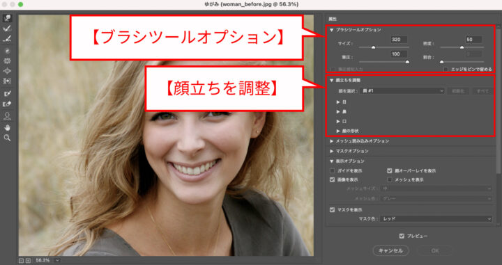 ゆがみパネルの設定
