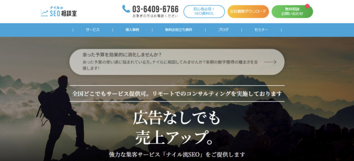 ナイル株式会社
