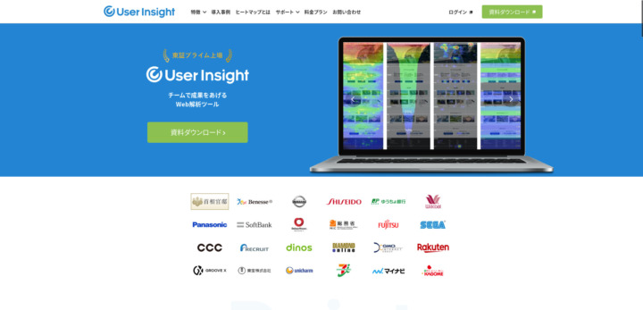 User Insight