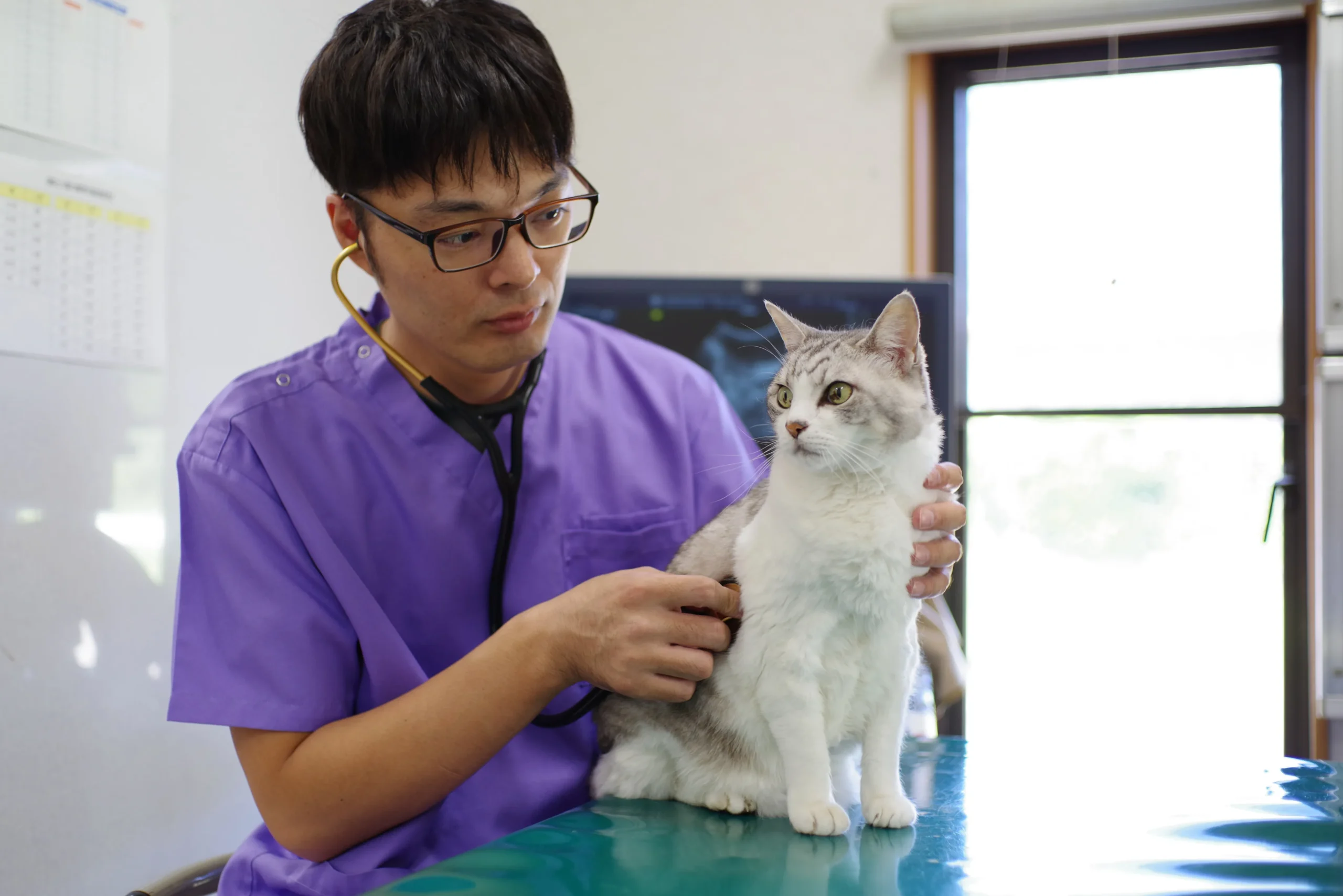 川上先生とあられちゃん